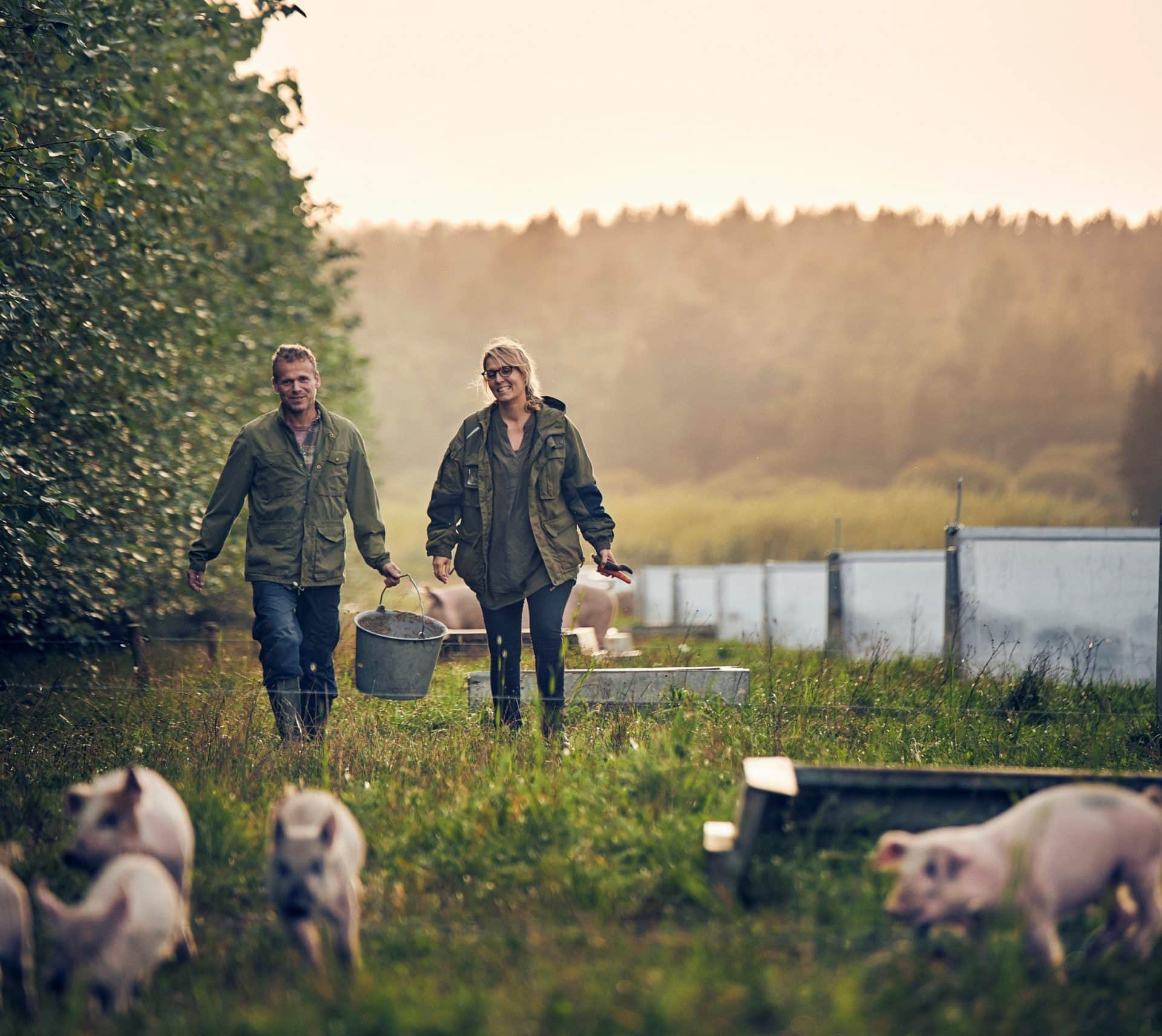 hestbjerg økologi