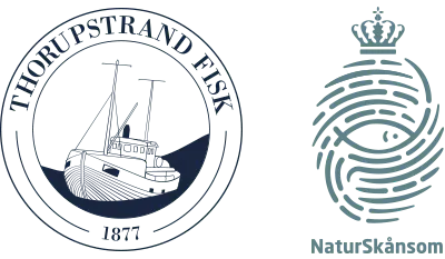 Thorupstrand fisk