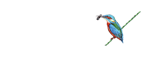 Naturslik